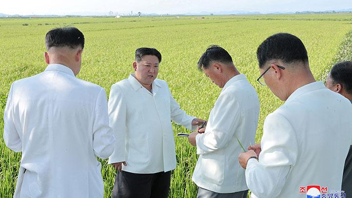 Ratusan Warga Korea Utara Tewas Kelaparan, Kim Jong Un Kunjungi Wilayah Pertanian